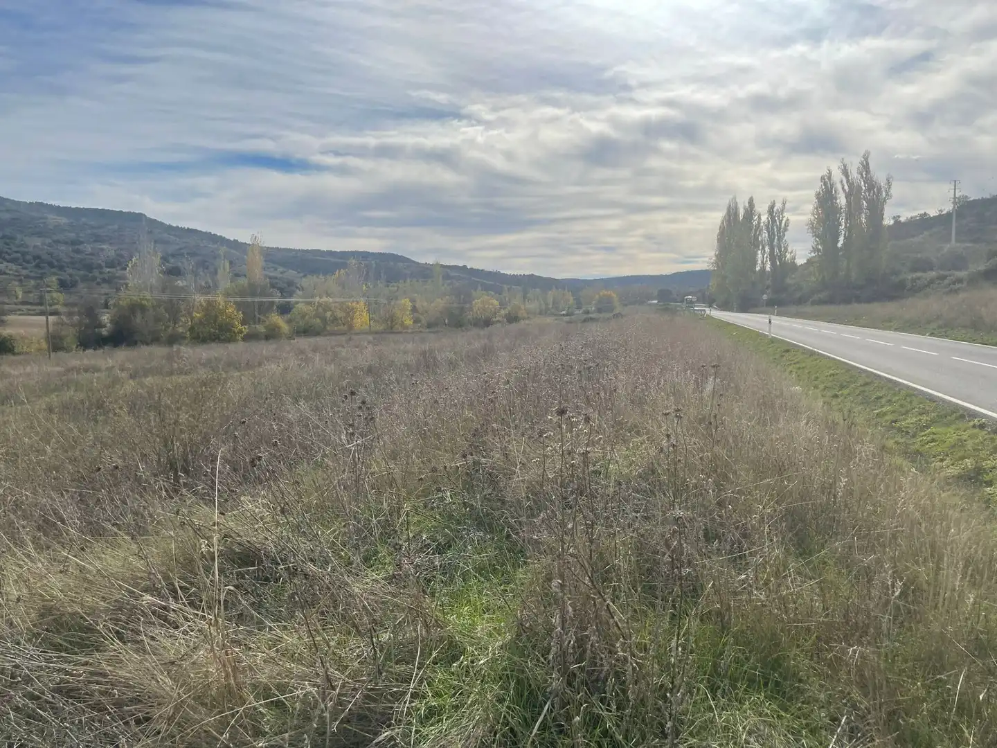 Rural land for sale in Orusco de Tajuña, imagen 7