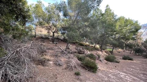 Foto 4 de Finca rústica en venda a Camino de las Balsas, El Esparragal, Murcia