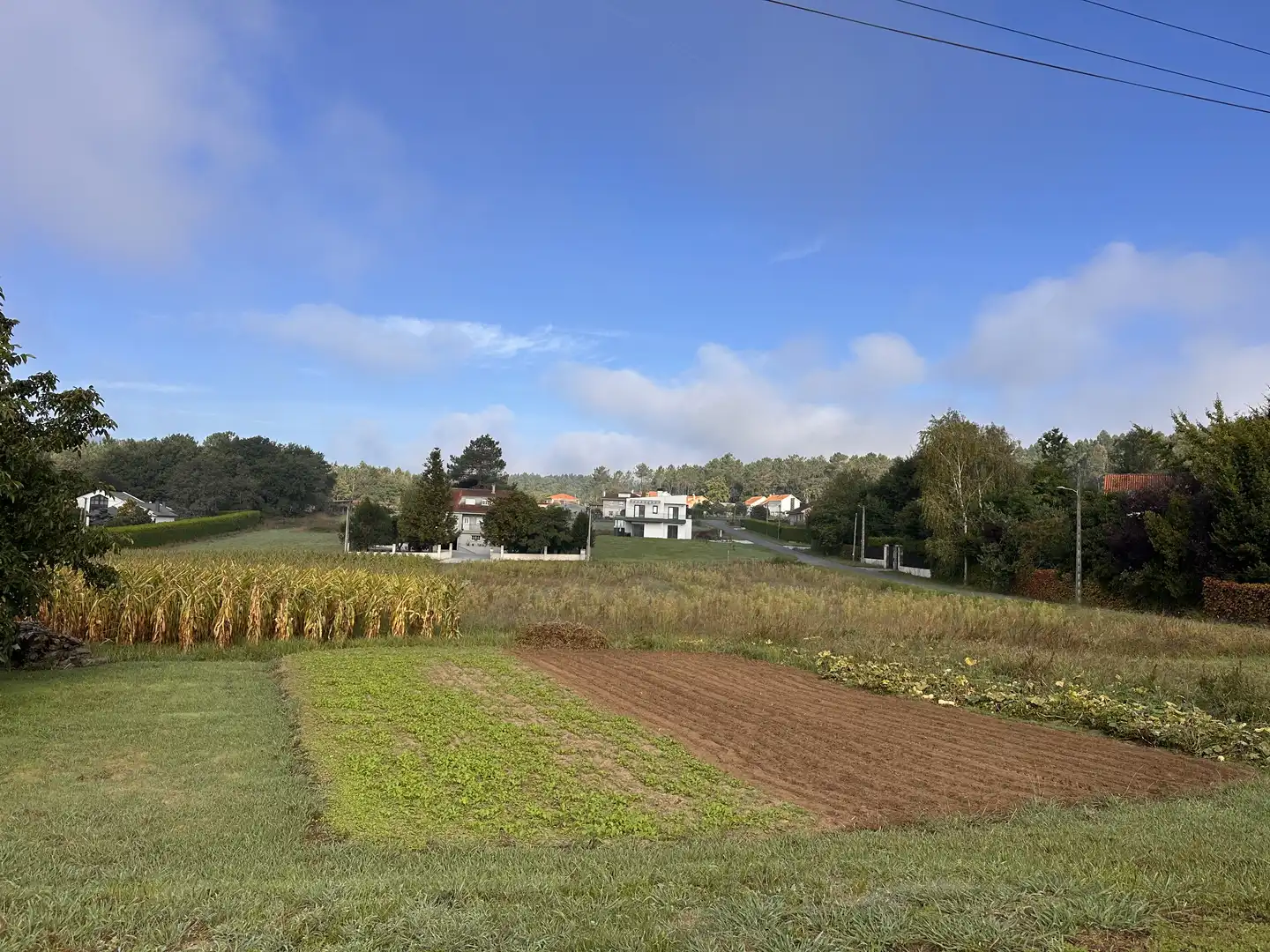 Terrains et parcelles à vendre à Pite, imagen 5