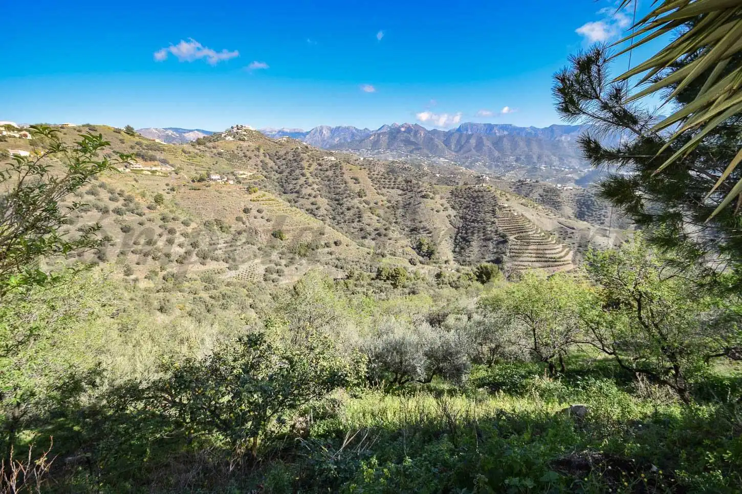 Rustikales Grundstück zum Verkauf in Torrox Pueblo, imagen 5