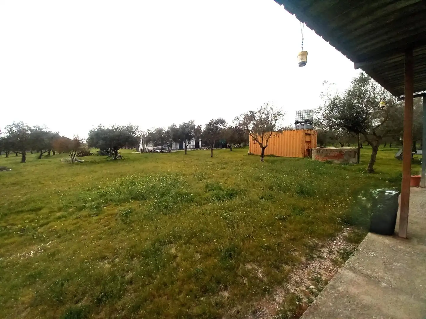 Country homes for sale in Jerez de la Frontera  with Terrace