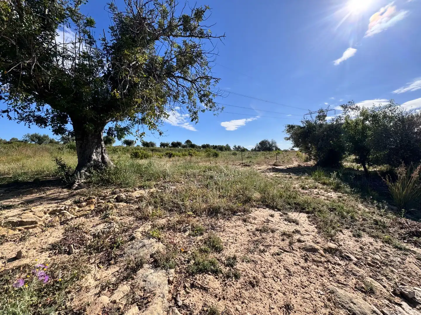Land for sale in Polígono 26 Parcela 21 CASA BLANCA-BARBETA. TORRE, 26, Poligono Mas del Jutge