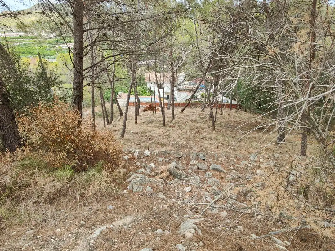 Wohnbaugrundstück zum Verkauf in Calle la Serreta miñana 39I, imagen 8
