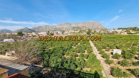 Foto 4 de Finca rústica en venta en Beniarbeig, Alicante
