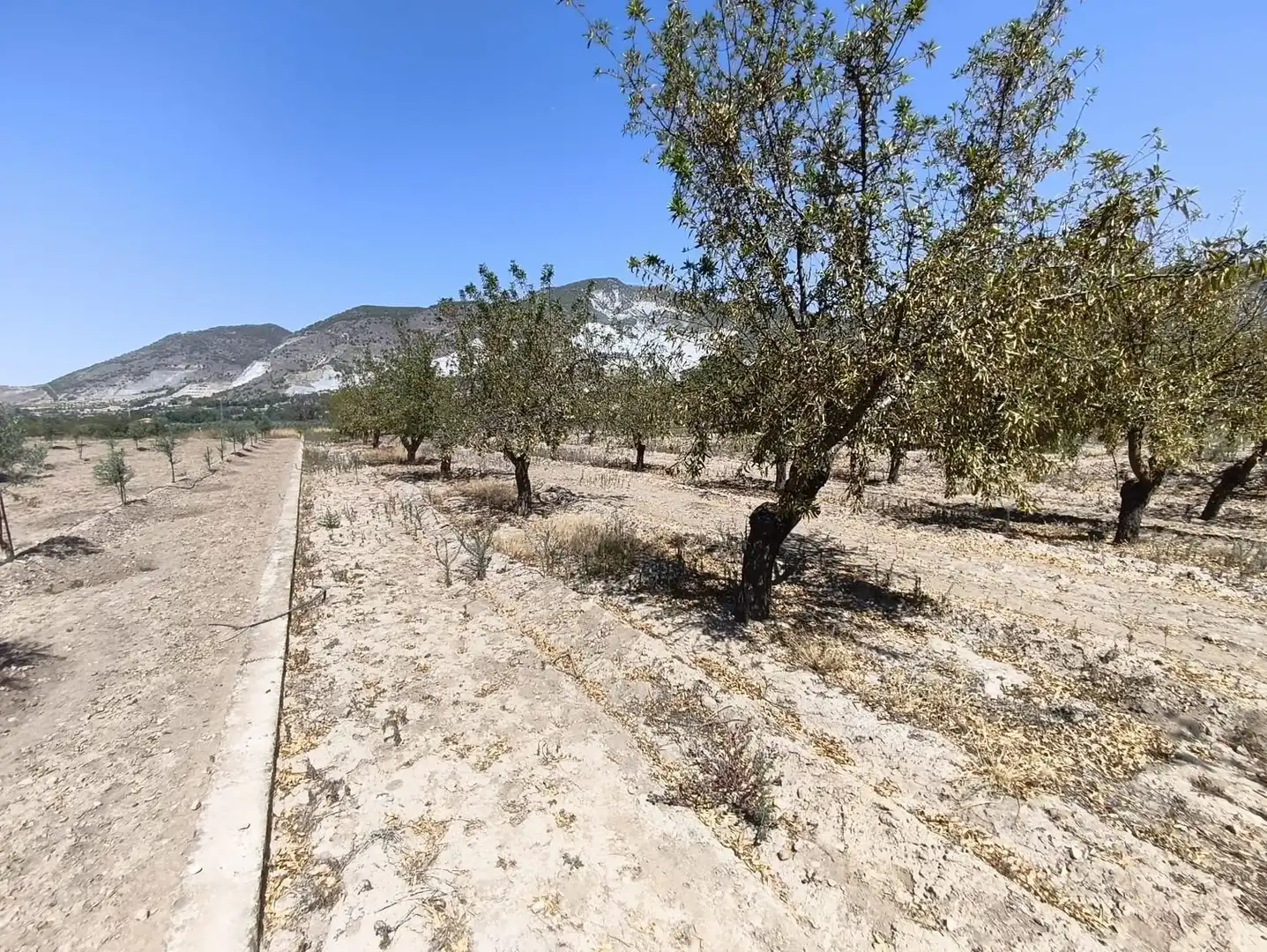 Rural land for sale in 2C55+9GC Cozvijar 0, imagen 22