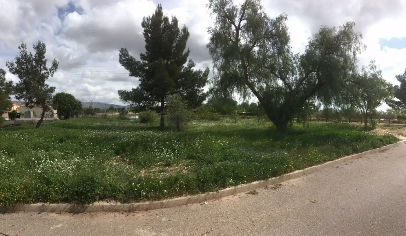 Terreny residencial en venda a Algueña, imagen 7