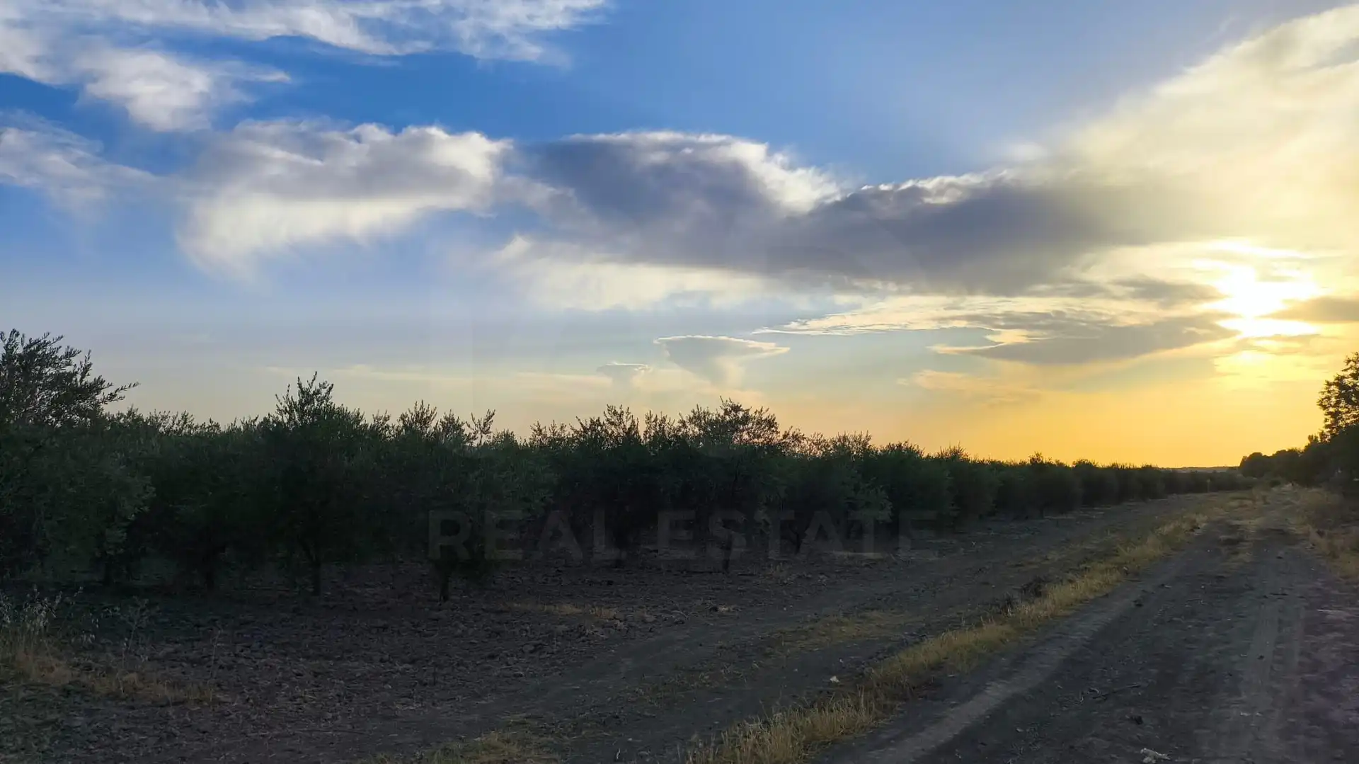 Terreno residencial en venta en Colmenar de Oreja, imagen 3