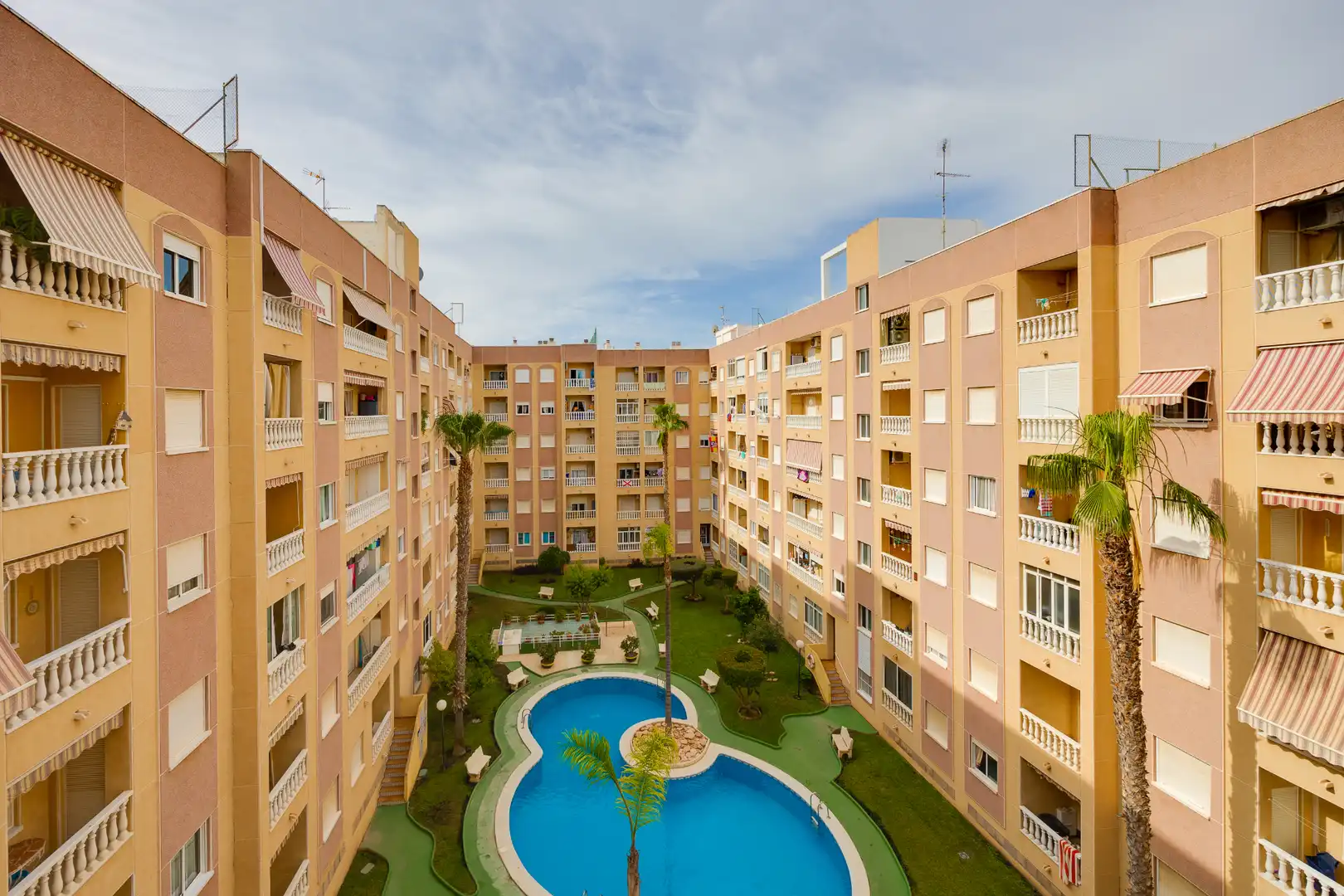 Vista exterior de Estudio en venta en Torrevieja con Terraza, Amueblado y Piscina comunitaria