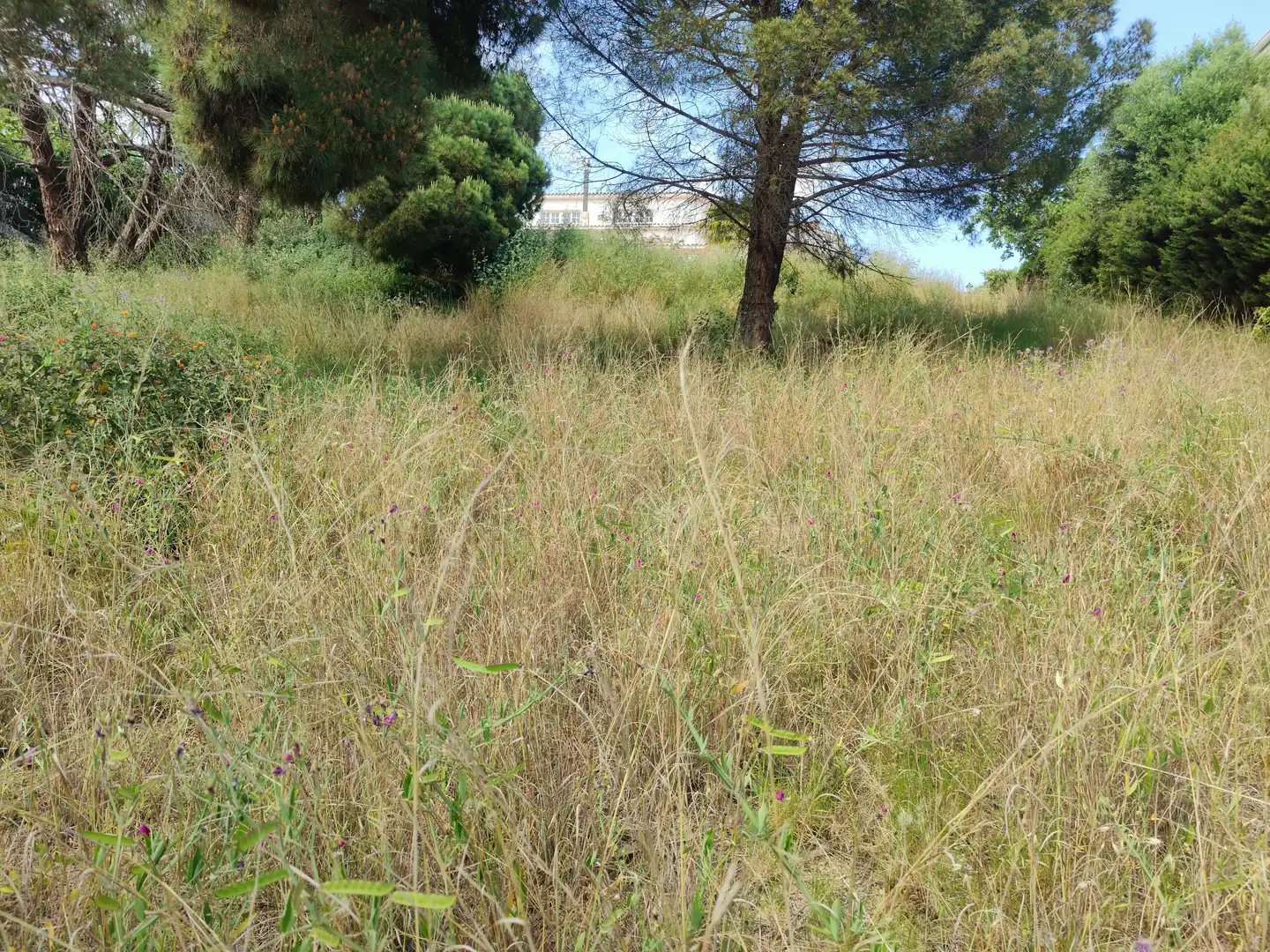 Residential land for sale in Calella, imagen 5