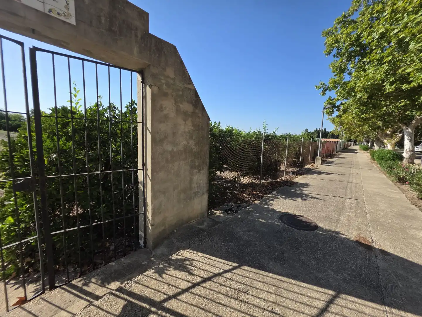Terrain rustique à vendre à Albalat de la Ribera, imagen 12