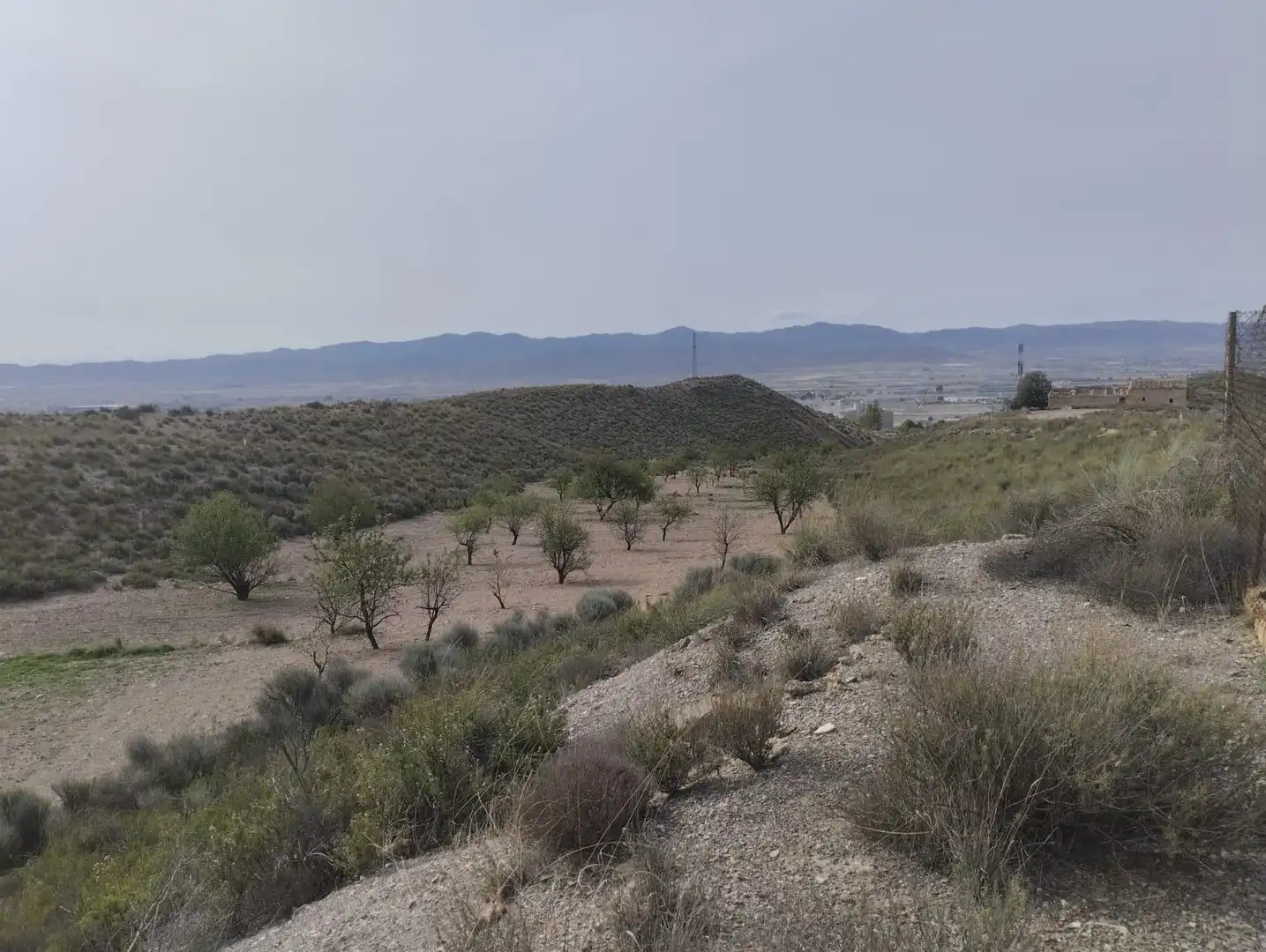 Terreno rustico in vendita a Pedanías Centro, imagen 6