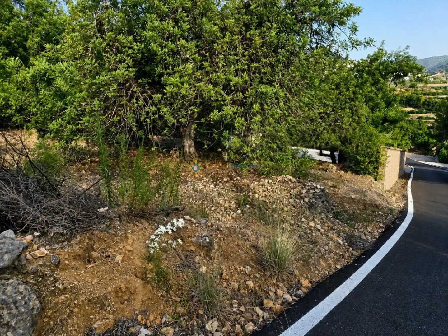 Terreno rústico en venta en L'Atzúbia, imagen 3