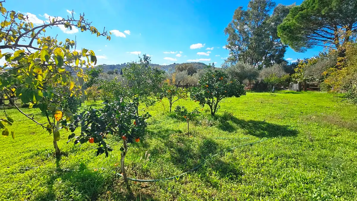 Casa rústica amb jardí en venda a Aracena, imagen 20