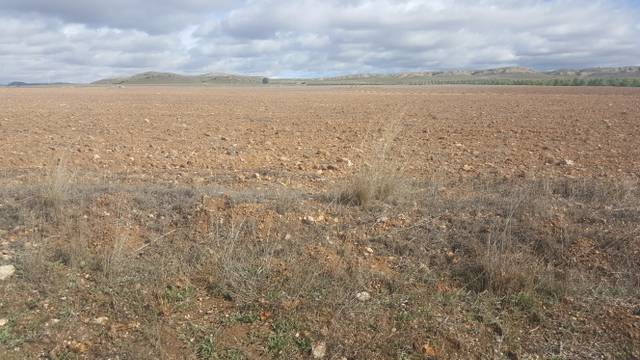 Terreno en Venta en San Antón