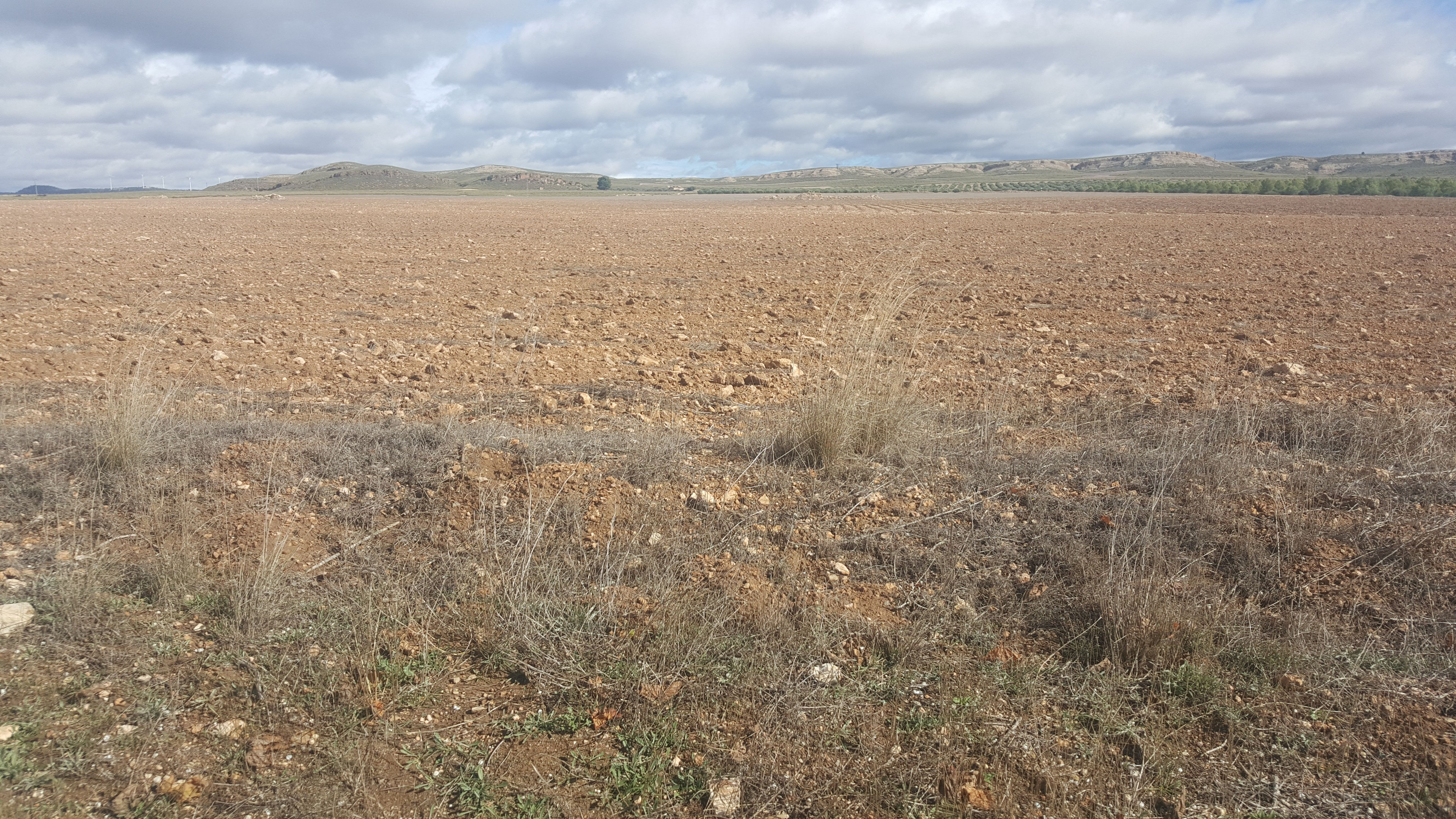 Land for sale in  Murcia Capital