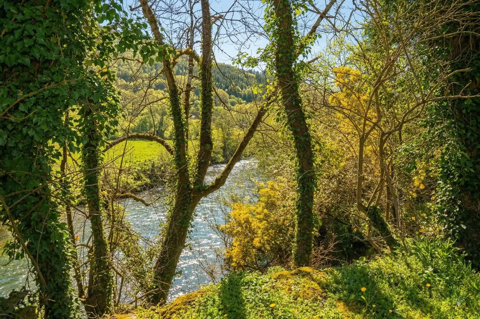 Country homes for sale in Lugar CAÑU, 22, Cangas de Onís