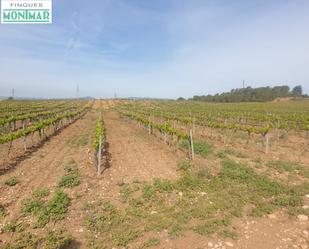 Finca rústica en venda en Renau