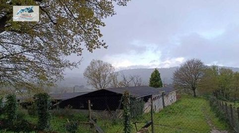 Venta Terreno Agrario en Celanova  Ourense
