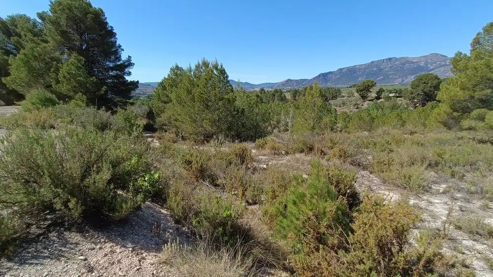 Residencial en venta en Gaianes