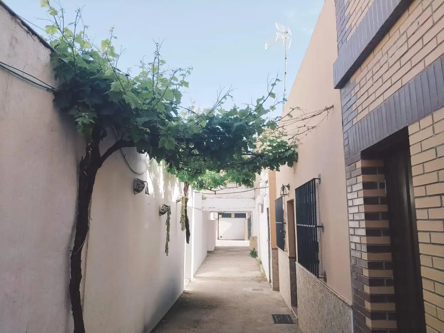 Vista exterior de Casa o chalet en venta en Chipiona con Aire acondicionado, Amueblado y Balcón