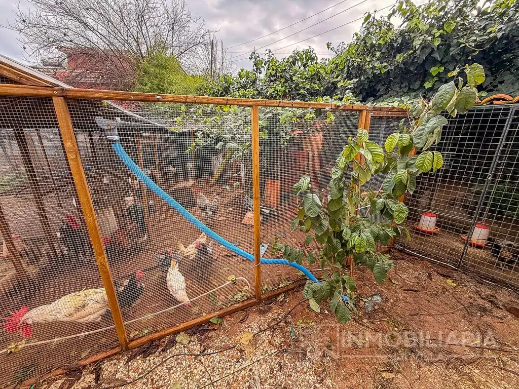 Finca rústica en venda a Partida Chicharra La, Centro