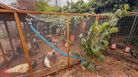 Foto 4 de Finca rústica en venda a Partida Chicharra la, Centro, Alhaurín El Grande