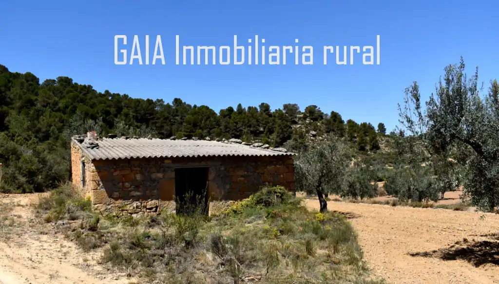 Finca rústica en venta en Mazaleón
