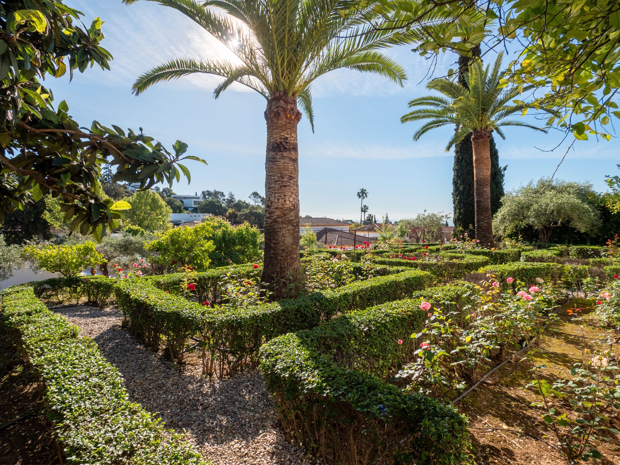 Garden of House or chalet for sale in  Córdoba Capital  with Air Conditioner, Private garden and Terrace