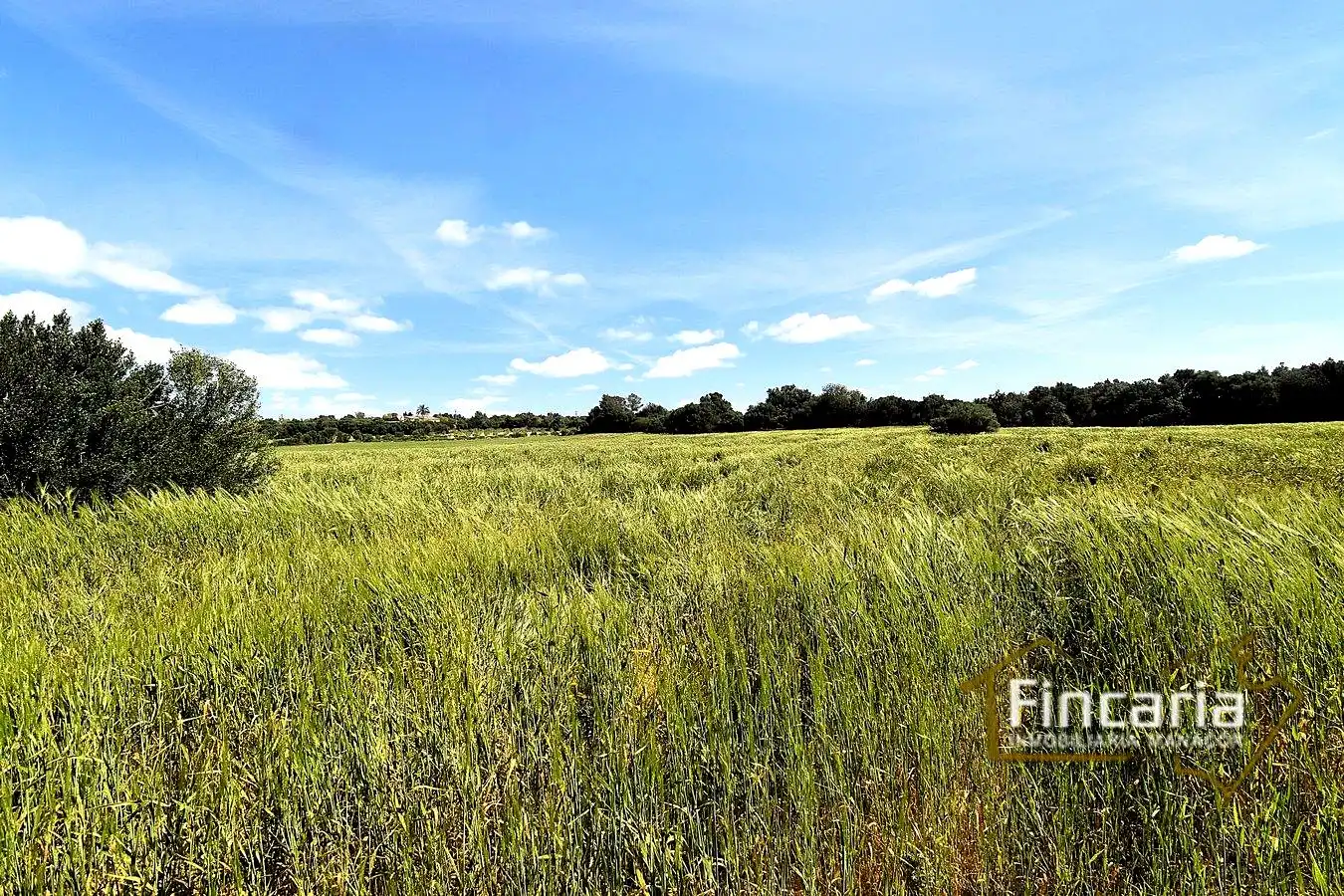 Lands and plots for sale in Ma-5120, imagen 13