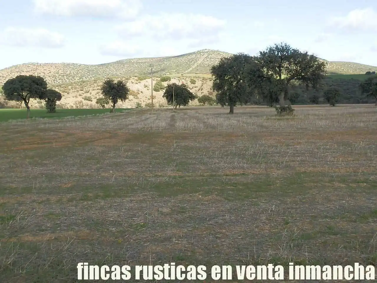 Terreny rústic en venda a Viso del Marqués, imagen 6