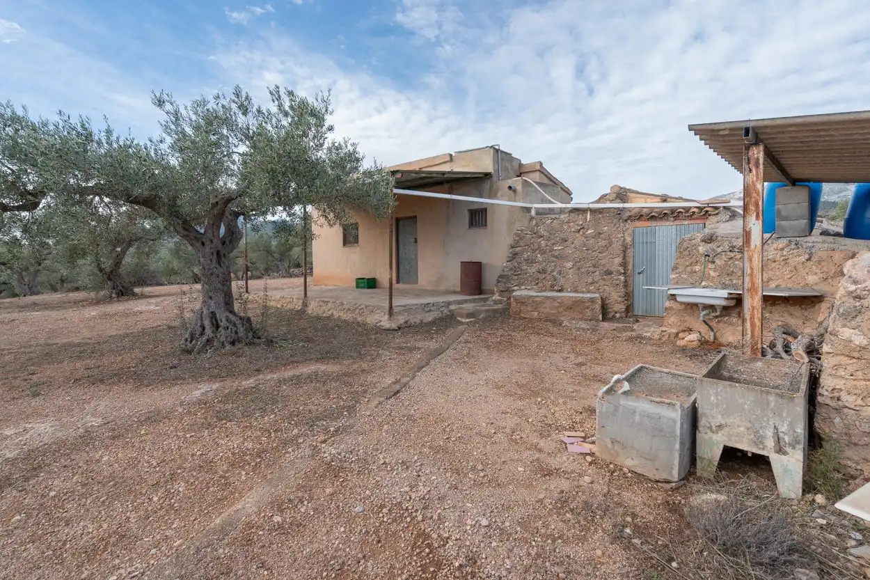 Terrain rustique à vendre à Xerta, imagen 5