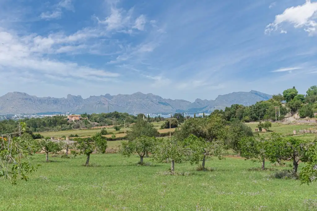 Land for sale in Ciutat d'Alcúdia