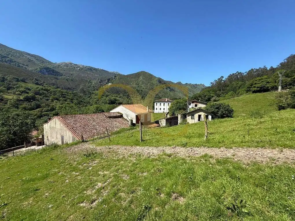 Exterior view of Houses for sale in Llanes  with Private garden, Terrace and Storage room