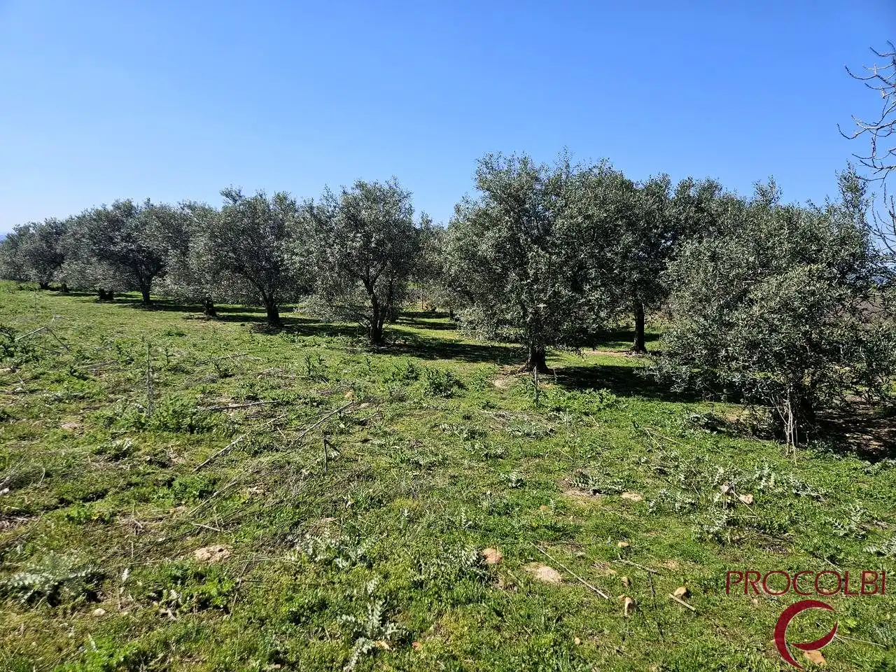 Terreno en venta en Valdeolmos-Alalpardo