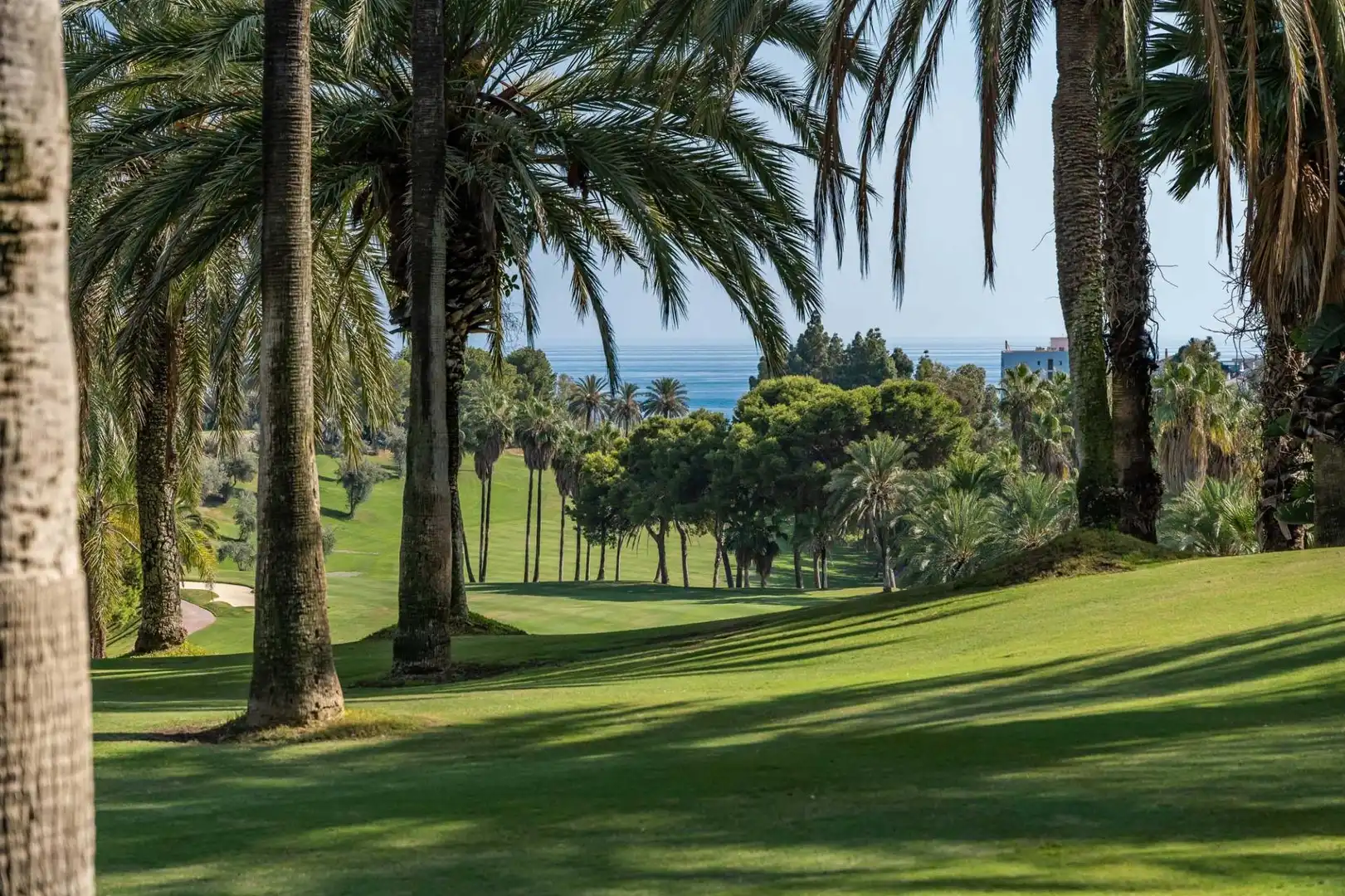 Vista exterior de Ático en venta en Benalmádena con Aire acondicionado, Calefacción y Terraza
