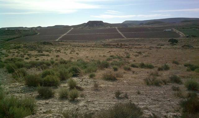 Terreno en Venta en Carretera Carboneras en Aguamarga