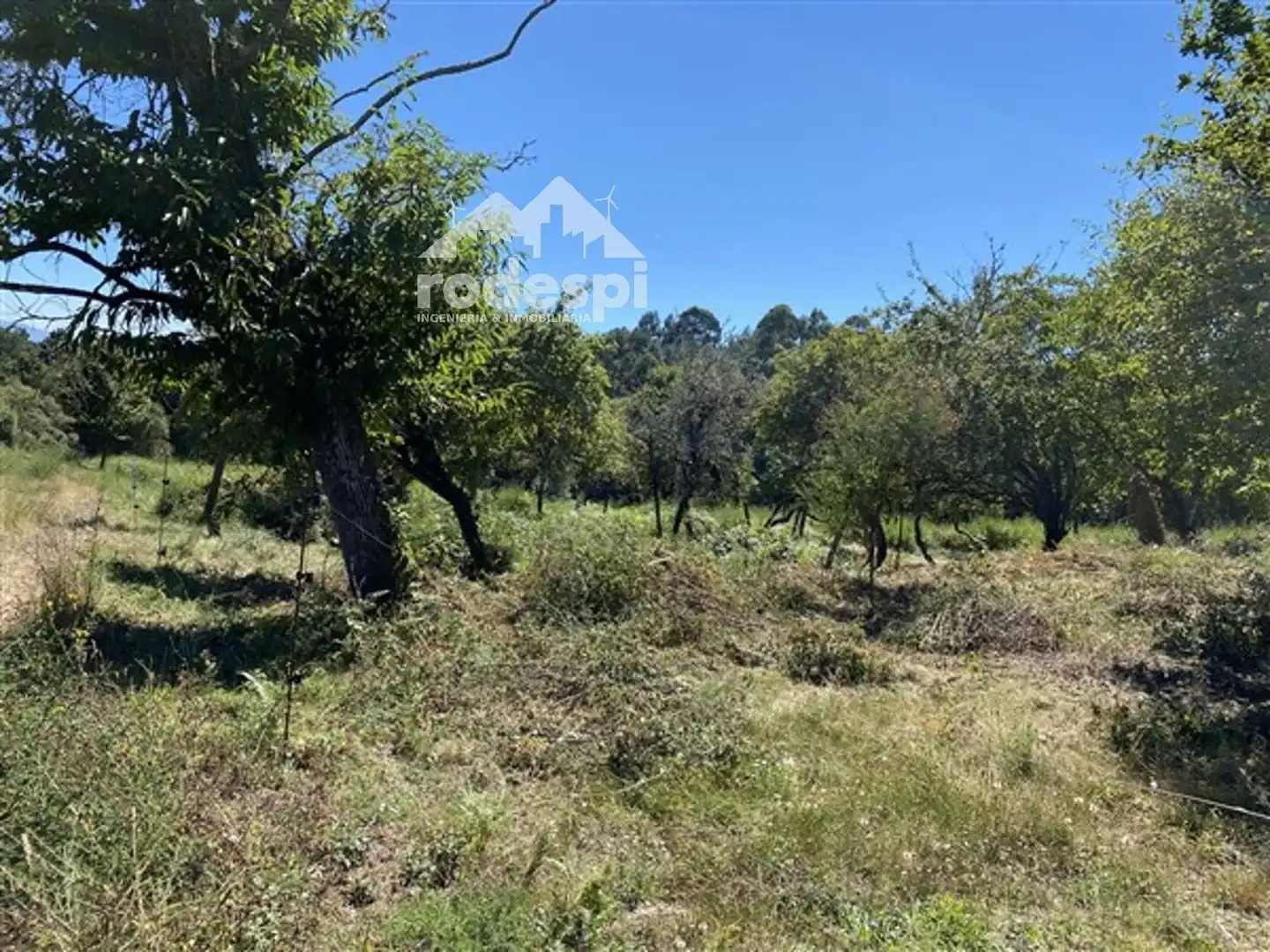 Terreny rústic en venda a Arans - Oroso, imagen 7