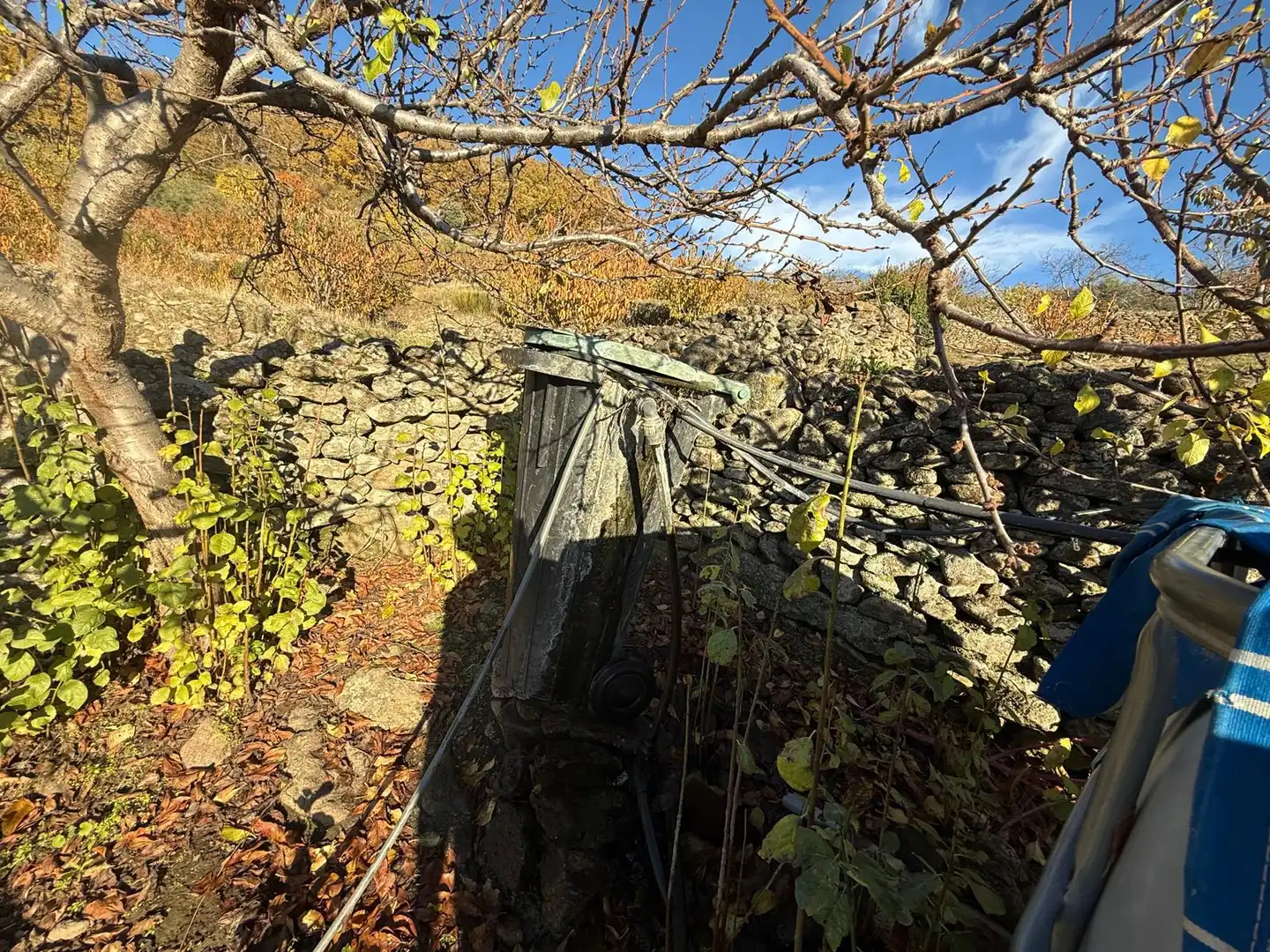 Land for sale in Arroyomolinos de la Vera