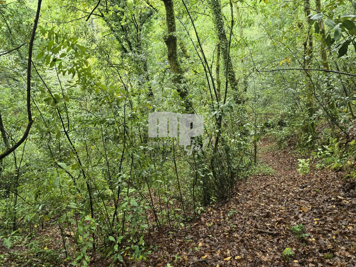 Finca rústica en venda en Mos