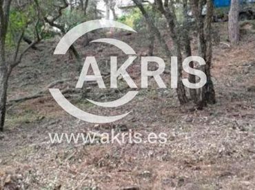 Terreno rustico in vendita a St Miquel Aro