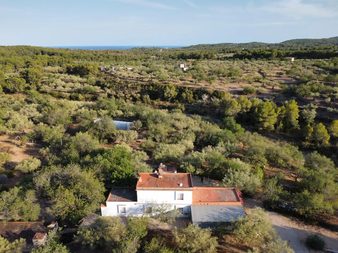 Maison rustique avec piscine à vendre à El Perelló, imagen 28