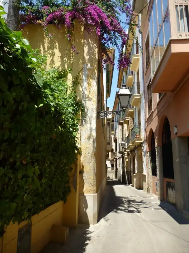 Exterior view of Duplexes for sale in  Palma de Mallorca  with Balcony