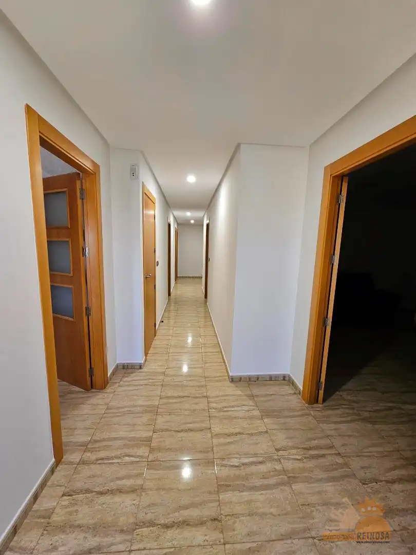 Casa o xalet de lloguer en Molina de Segura amb Aire condicionat, Calefacció i Jardí privat