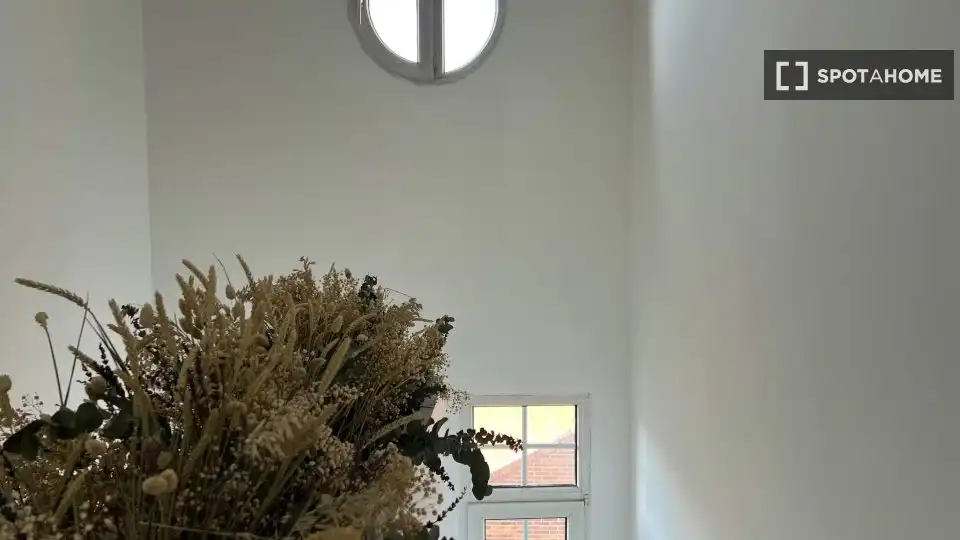 Room in Ciudad Universitaria