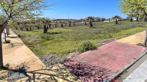 Foto 2 de Residencial en venta en Urbanizacion Baldio, 152, Palma del Río, Córdoba