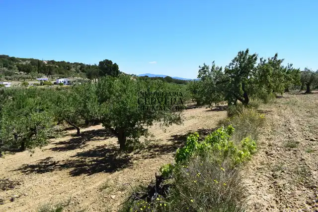 Finca rústica en venda en Cervera del Maestre