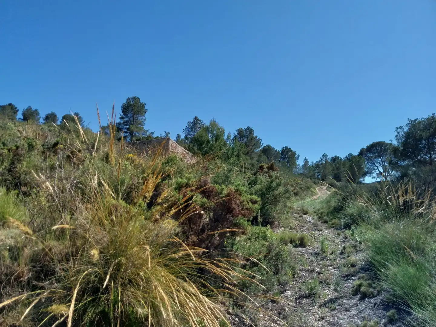 Terreno rustico in vendita a Lugar Castillo, imagen 27