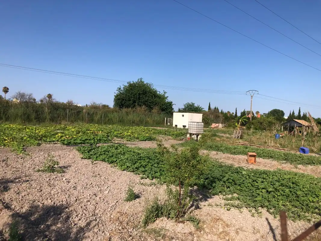 Terreno en venta en Gandia