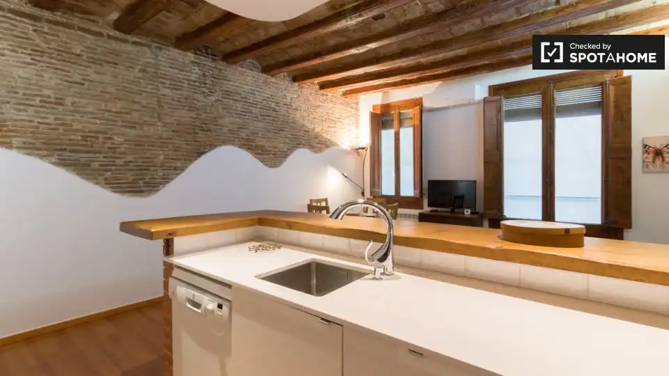 Appartamento con terrazza in affitto a Ciutat Vella, imagen 9