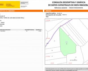 Land for sale in Torre de Juan Abad